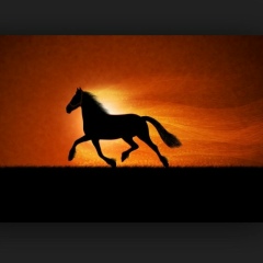 Даулет Туркебаев, Алматы