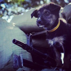 Tema Sidorchenko, 28.05.1985, Киев