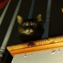 Ярослав Бойко, 18.11.1992, Киев