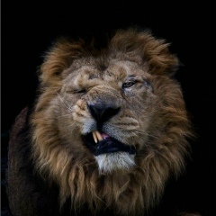 Чина Рыскулов, 18.08