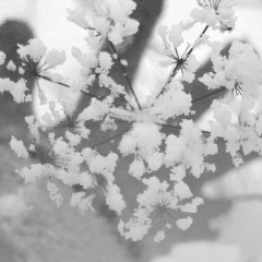 Linda Eidukaityte, Вильнюс