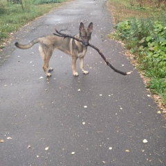 Юлия Авдошина, Менделеево