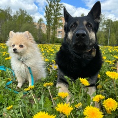 Ольга Музычук, Москва