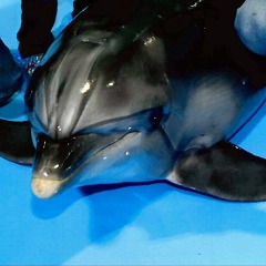 Андрей Лебедев, 31.05, Санкт-Петербург