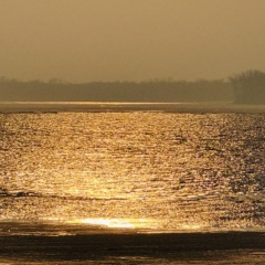 Анна Тимофеева, Самара