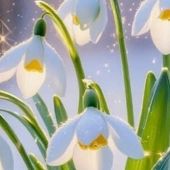 Наталья Масная