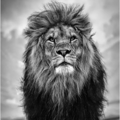 Темирлан Губиев, 07.09.1986, Уральск