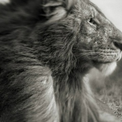 Алибекова Хадиджа, 16.06, Махачкала