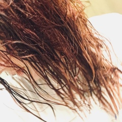 Василиса Лисицина, Ярославль