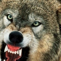 Руслан Шарапов, 26.01, Набережные Челны