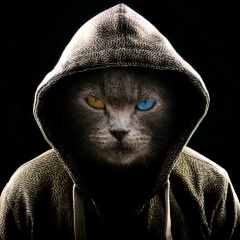 Nurgazy Tashtanov, 01.06.1994, Бишкек