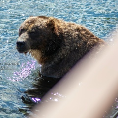 Евгений Gt-Antipin, 16.05, Петропавловск-Камчатский