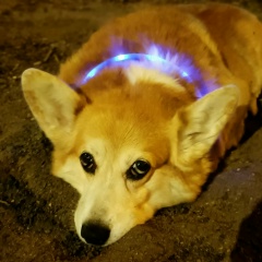 Екатерина Чаплыгина, 11.12.1986, Москва