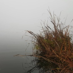 Михаил Старостин, 22.09.1984