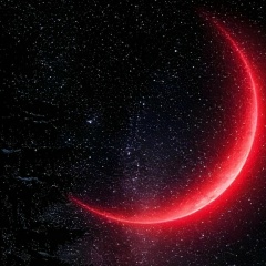 Амеди Дашаев, 13.06.1992