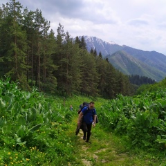 Тимур Тимуров