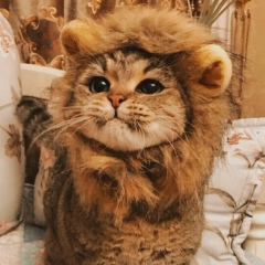 Рахат Аташева, 29.12.1998, Актау