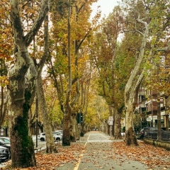 Дария Пыхтина, Parma