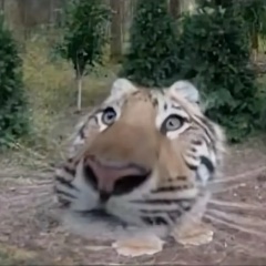 Андрей Серенко, 04.06, Калининград