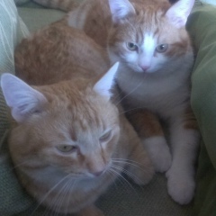 Геннадий Владимирович, 03.02.1901