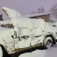 Санёк Ан, Александрия