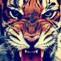 Maksat Bekmuhanov, 26.08, Алматы