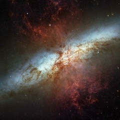 Максим Малешевський, 10.03.1986, Львов