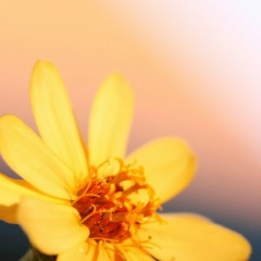 Танюшка Поюрова, 01.07.1986