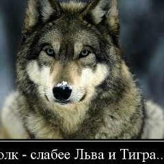 Abdirasul Ataniyazov, 01.01.1998, Нукус