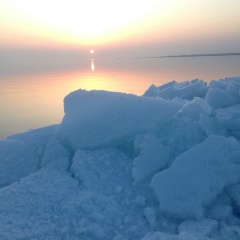 Рин Орд, 28.06.1982, Алматы