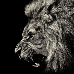 Есет Мұхамбет, 16.11.1992, Актобе