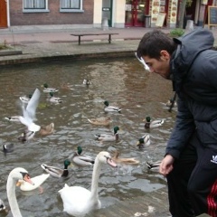 Gatusso Amp, 08.06.1987, Palermo