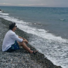 Александр Аниконов, Верхняя Пышма