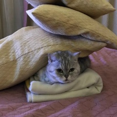 Сергей ///, 15.08