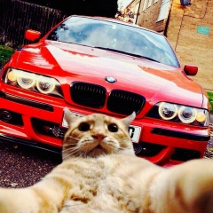 Ириника Ириника, 17.09, Анапа