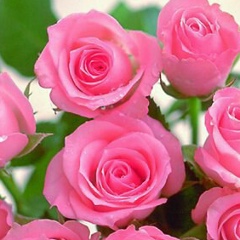 Камилла Бишаева