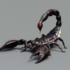 Рафаэль Ахметов, Астрахань