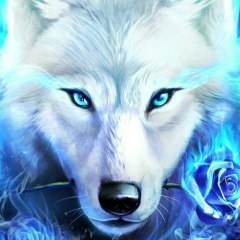 Максим Есауленко, 28.11.1990