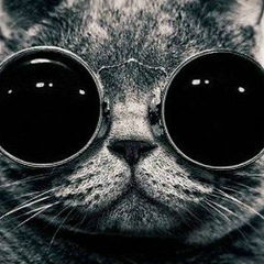 Андрей Журавлев, 24.12, Пермь