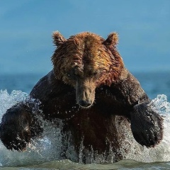 Альгиз Дананов, 21.12.1993, Семей