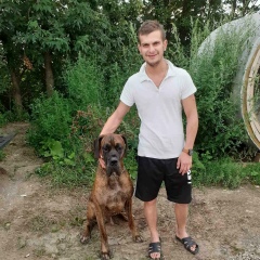 Ваня Пальок, 02.08, Свалява