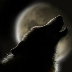 Илья Андрианов, Красноуральск