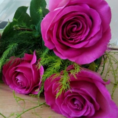 Гумша Исабаева, 27.04, Алматы