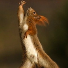 Ольга Иванова, 26.10, Тверь