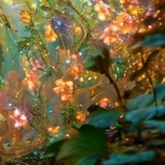 Дарья Белкина, 01.08.1988, Нижний Новгород