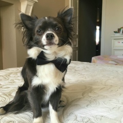 Сергей Скрыль, 21.01.1978, Санкт-Петербург