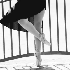 Aleksa Freckle, 20.02.1988, Dubai