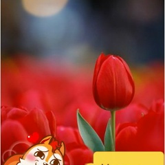 Бектемир Ажибаев, 12.12.1991, Самара