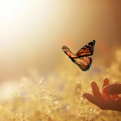 Маргарита Каплюгина, 06.06, Ярославль