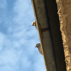 Andrey Ilinov, 10.12, Москва